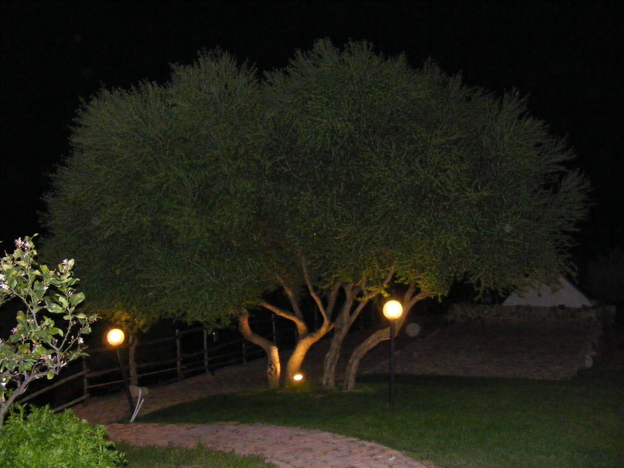 Tenuta Su Vrau Posada  Εξωτερικό φωτογραφία