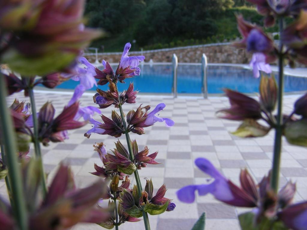 Tenuta Su Vrau Posada  Εξωτερικό φωτογραφία